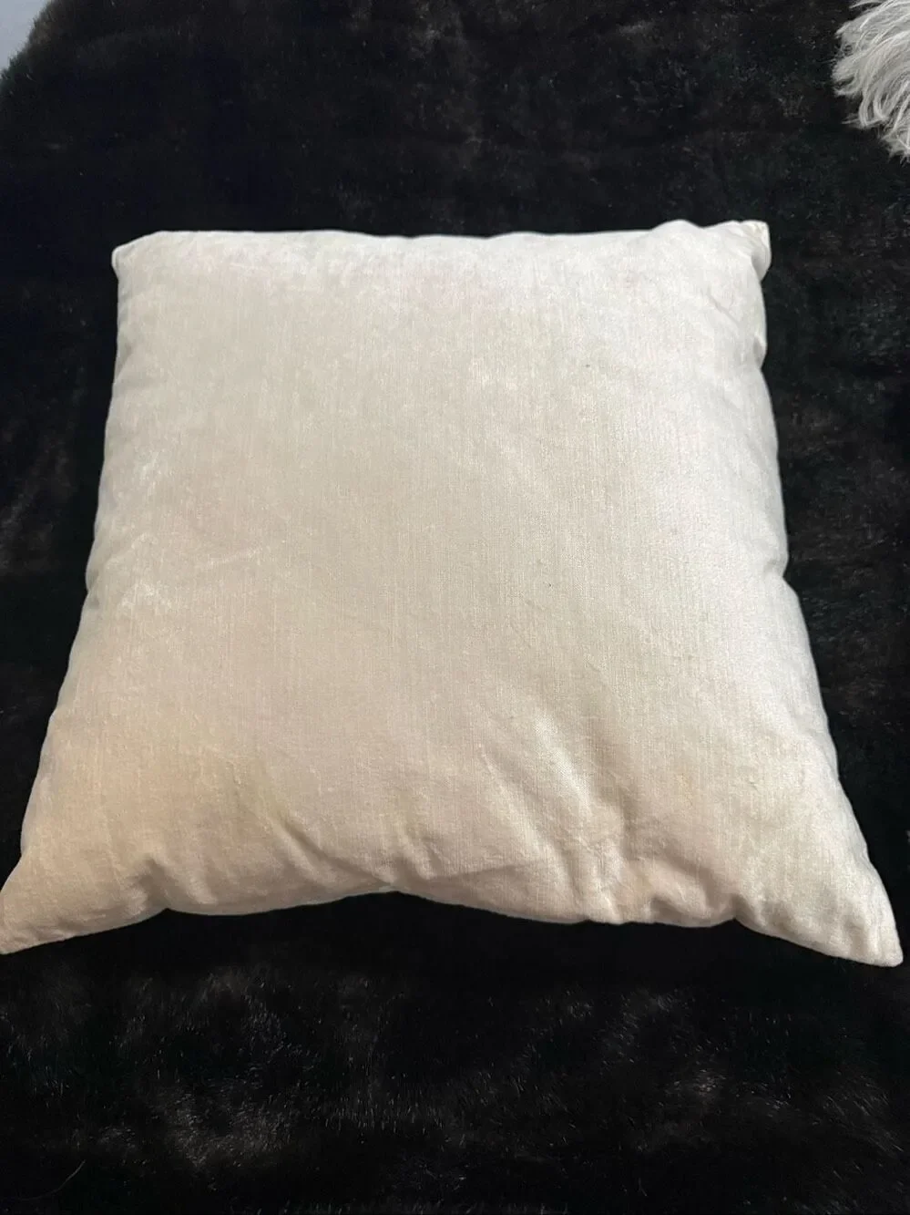 Pier 1 Imports Velvet Embellished Snowflake Winter Throw Pillow Ivory Christmas